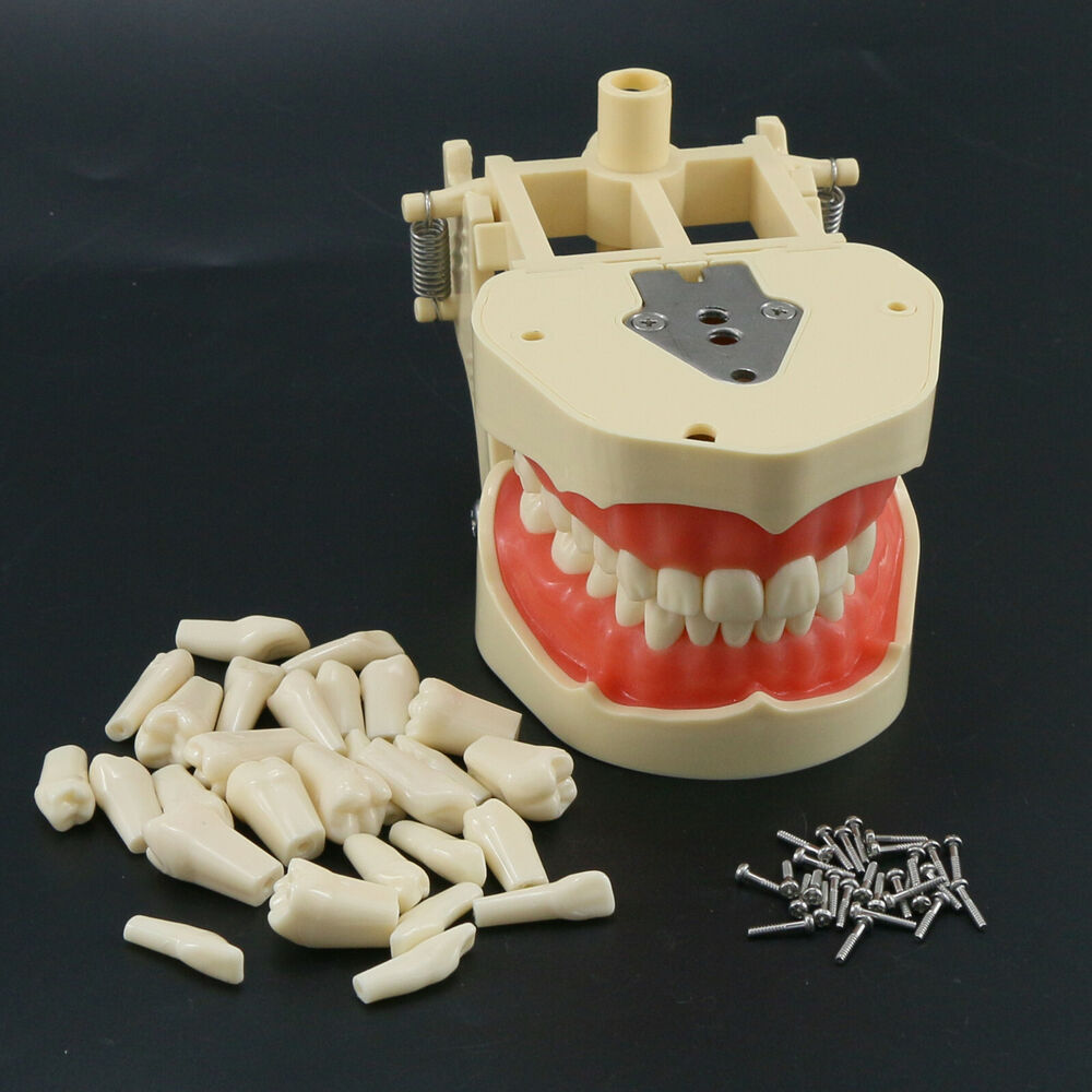 Frasaco ANA-4 Dental Restorati – Stethoscope recenzja i cena