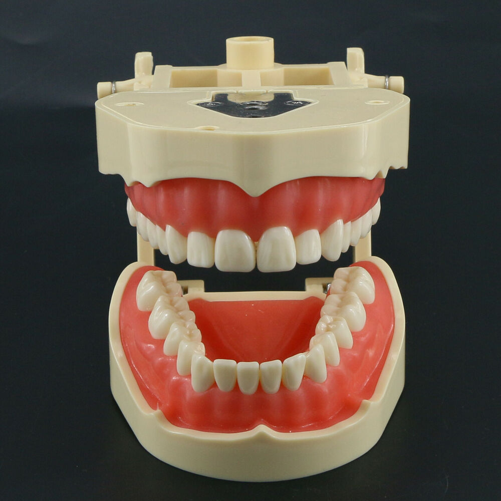 Frasaco ANA-4 Dental Restorati – Stethoscope recenzja i cena