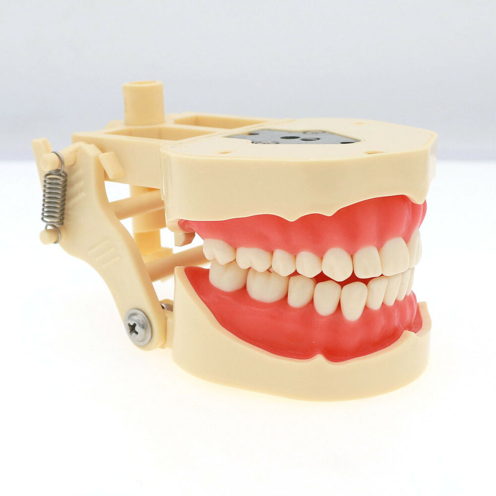 Frasaco ANA-4 Dental Restorati – Stethoscope recenzja i cena