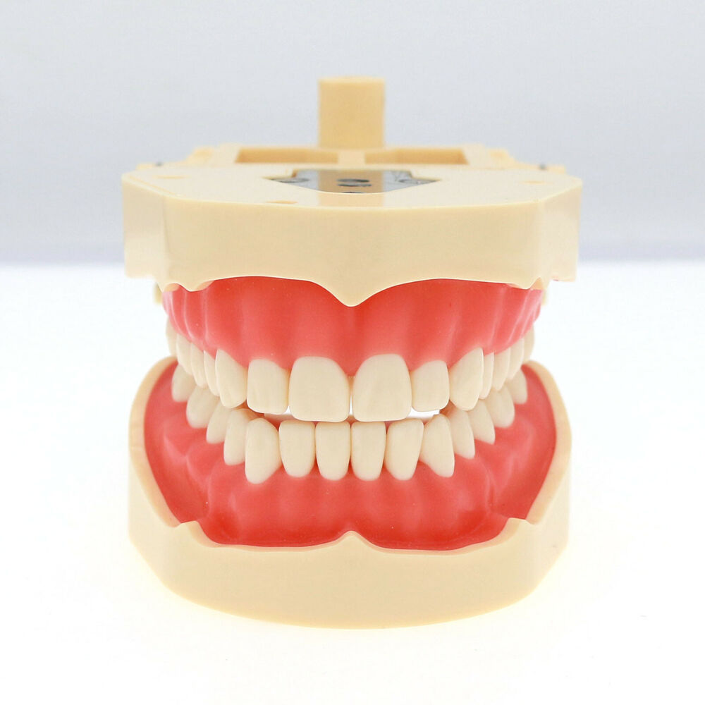 Frasaco ANA-4 Dental Restorati – Stethoscope recenzja i cena